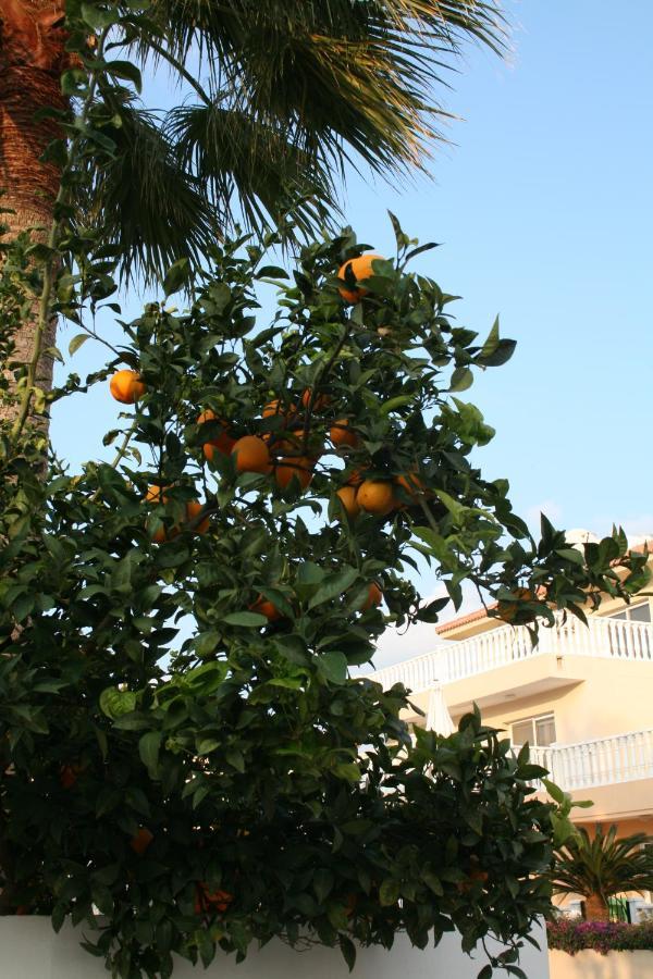 Nissi Villa Ayia Napa Ngoại thất bức ảnh